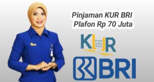 Pinjaman Bank KUR BRI 2025