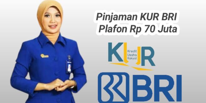 Pinjaman Bank KUR BRI 2025