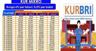 Daftar Tabel KUR BRI 2025 Terbaru