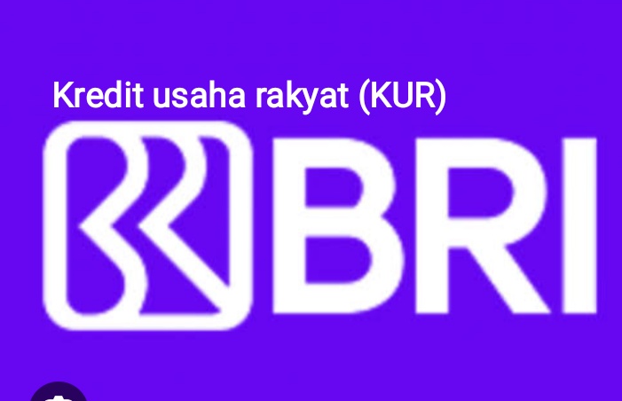 Brosur KUR 2025 BRI