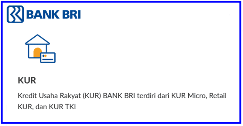 Brosur KUR BRI 2025 50 Juta