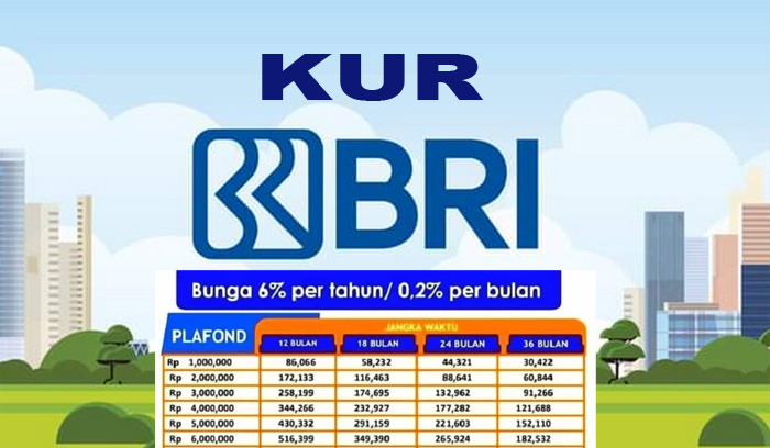 Estimasi Pinjaman KUR BRI 2025