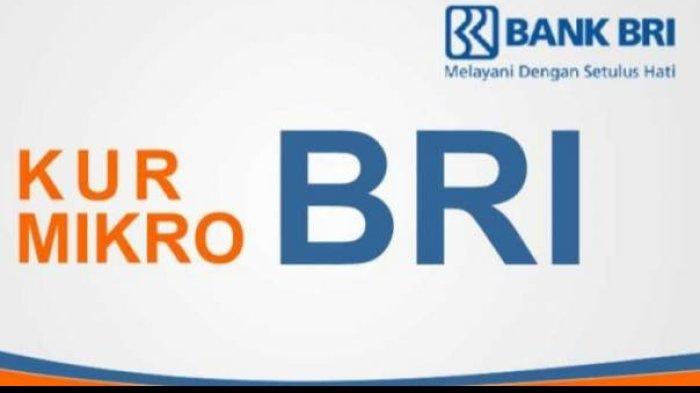 Apakah 2025 Ada KUR BRI