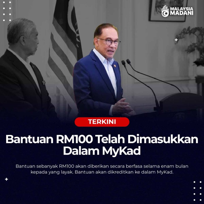 Semak Bantuan Rm100 Mykad 2025