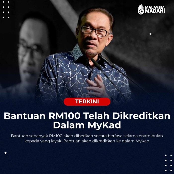 Semak Bantuan Rm100 Mykad 2025
