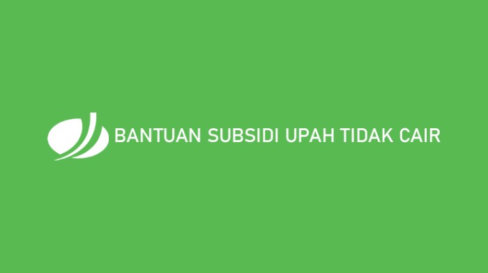 Bantuan Apa Yang Cair Bulan Februari 2025
