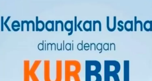 Brosur KUR Bank BRI 2025