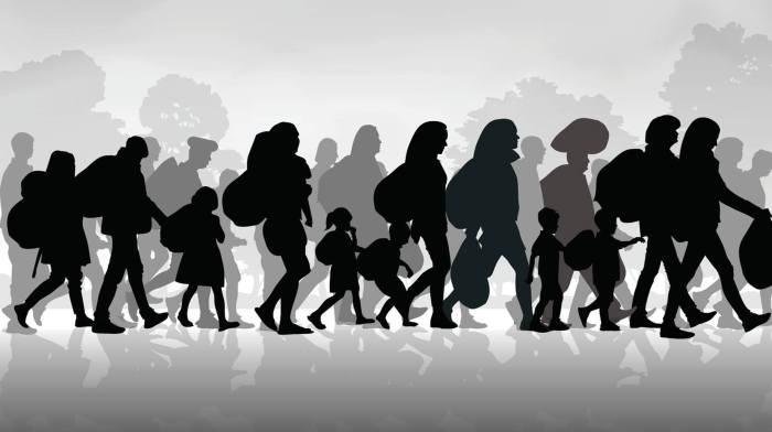 Bantuan Imigrasi 2025