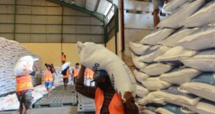 Cara Mengecek Bantuan Beras Bulog 2025