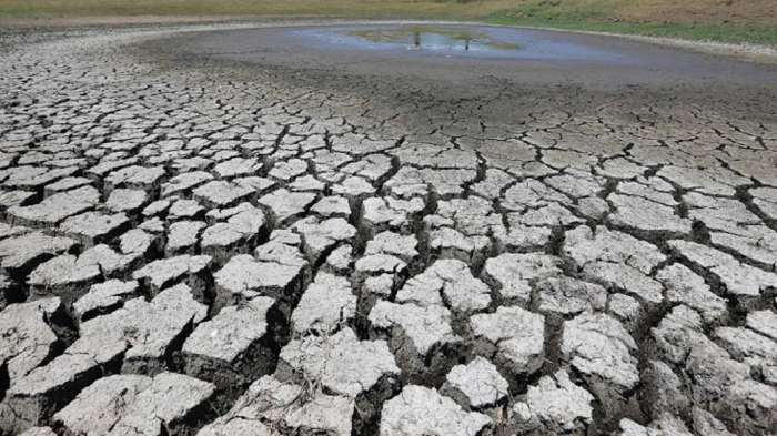 Cara Mengecek Bantuan El Nino 2025 Lewat Hp