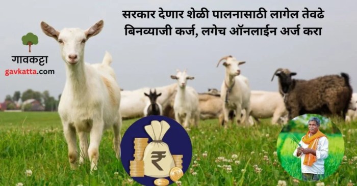 Program Bantuan Peternakan Kambing 2025