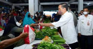 Bantuan Bulan November 2025