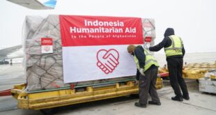 Bantuan Apa Saja Di Bulan Februari 2025