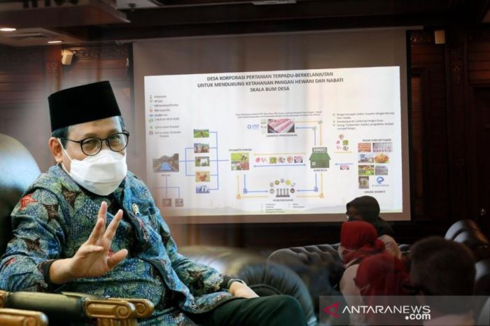 Bantuan Ternak 2025