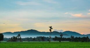Prediksi Mudik Lebaran 2025