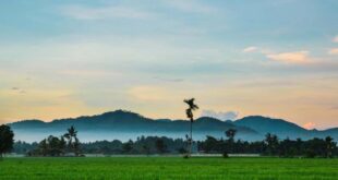 2025 akan terjadi sebelum bicara