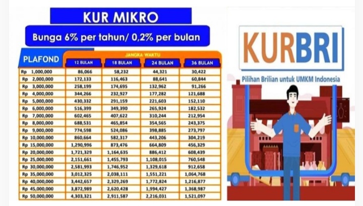 Pinjaman Dana KUR BRI 2025
