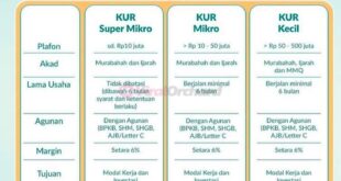 Daftar KUR Bsi 2025
