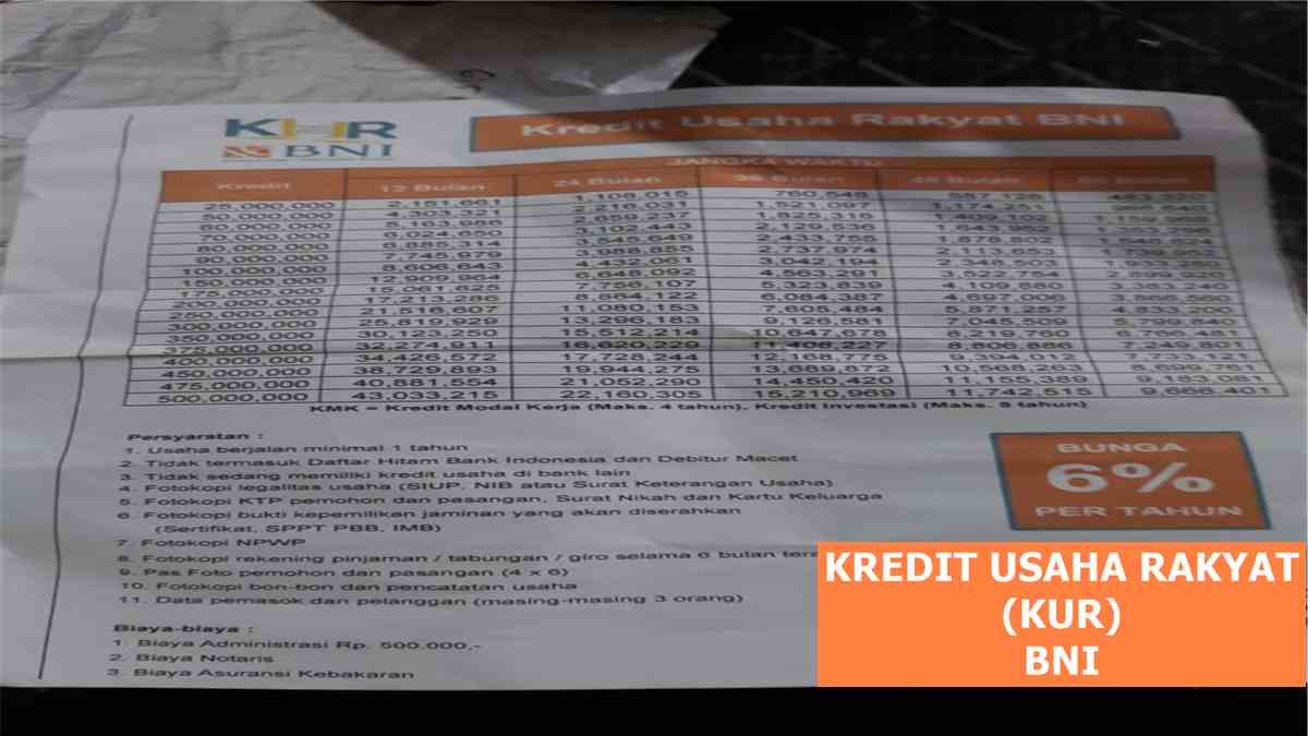 Bni hias kur salurkan tanaman umkm Bunga KUR BNI 2025