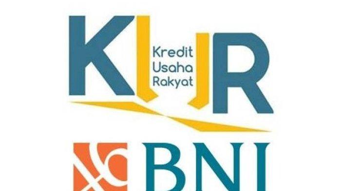 KUR BNI 2025 Kapan Dibuka?
