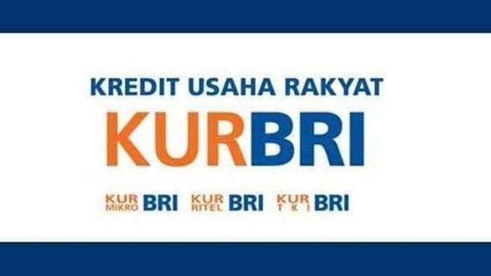 KUR BRI 2025 Apakah Sudah Dibuka