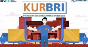 KUR BRI 2025 Pekanbaru