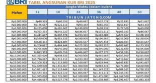 Cara Pinjam KUR BRI 2025