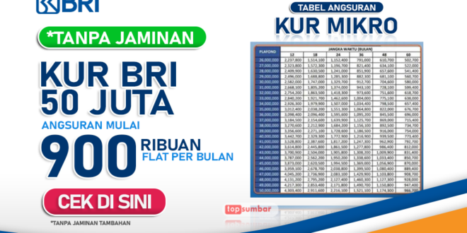 KUR BRI 500 Juta 2025