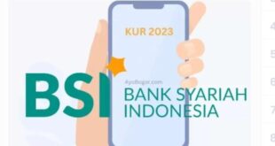 KUR Bsi Pekanbaru 2025