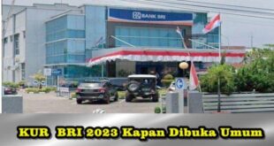 Sampai Kapan KUR BRI 2025 Ditutup