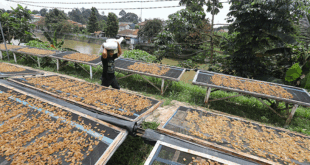 KUR Dki 2025 Kapan Dibuka