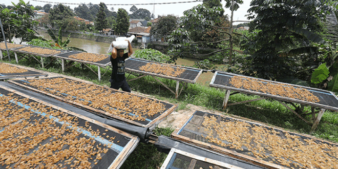 KUR Dki 2025 Kapan Dibuka