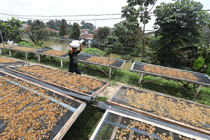 KUR Dki 2025 Kapan Dibuka
