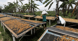 Bulan Berapa KUR 2025 Dibuka