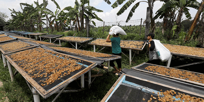 Bulan Berapa KUR 2025 Dibuka