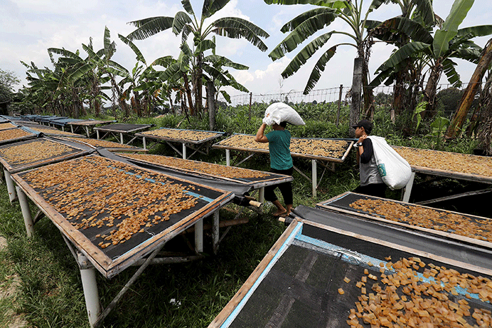 Bulan Berapa KUR 2025 Dibuka