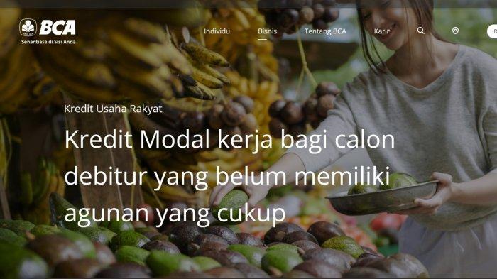Brosur KUR BCA 2025