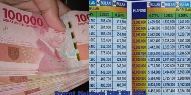 Pinjaman 100 Juta KUR BRI 2025