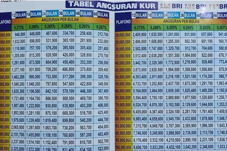 Tabel KUR BRI 100jt 2025