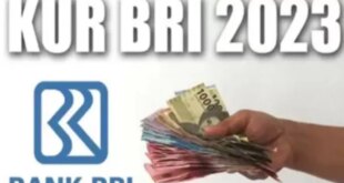 2025 Apakah Ada KUR BRI?