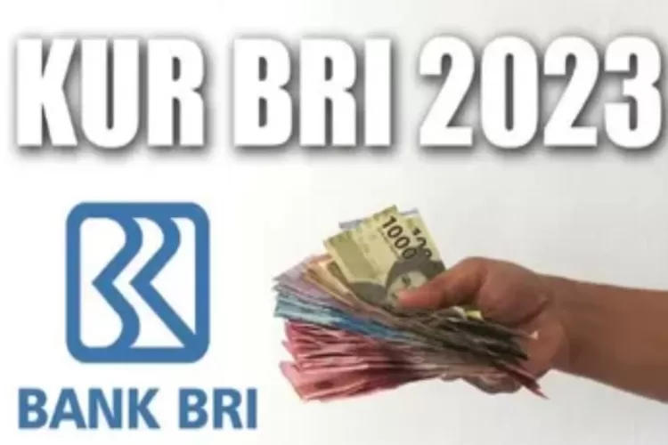 2025 Apakah Ada KUR BRI?