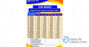 Tabel Cicilan BRI KUR 2025