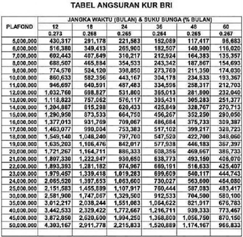 Tabel Dana KUR Bsi 2025