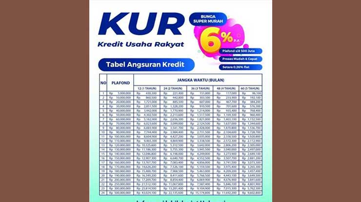 Bank Yang Menyediakan KUR 2025