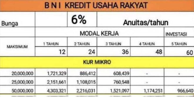 KUR BNI 2025 Online
