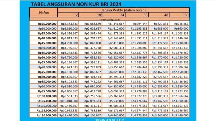 Pinjaman Non KUR BRI 2025 Terbaru
