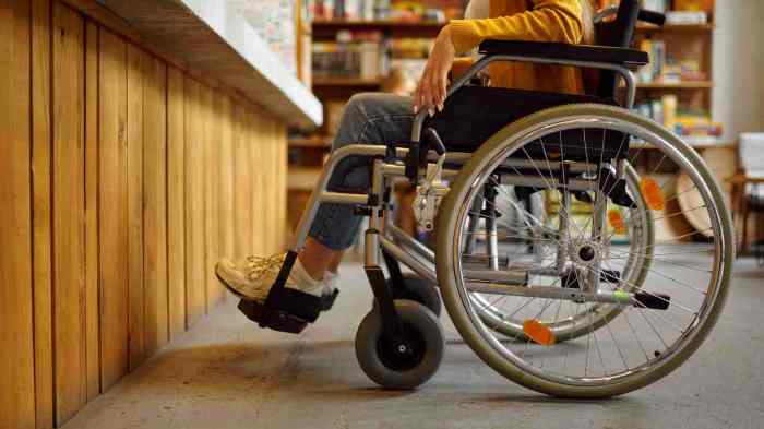 Cara Cek Bantuan Disabilitas 2025