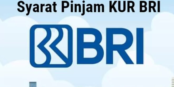 BRIsur BRI Non KUR 2025