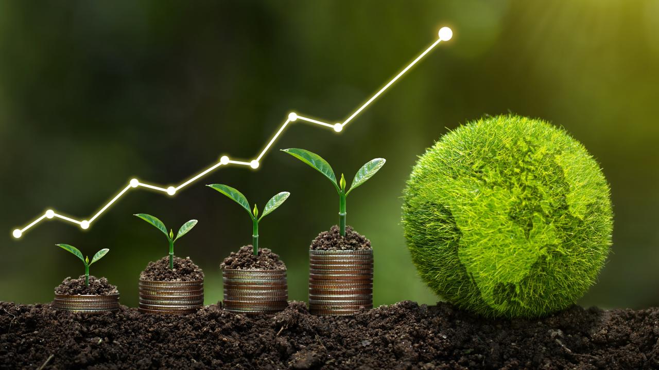 Liburan Sekolah: Investasi untuk Masa Depan yang Lebih Baik
