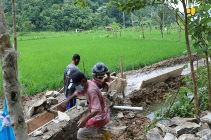 Bantuan Padat Karya Kemnaker 2025